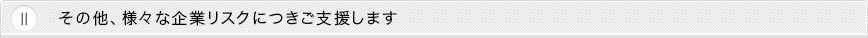 Ⅱ その他、様々な企業リスクにつきご支援します