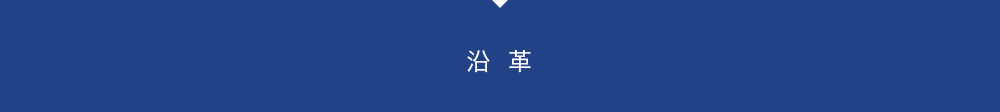 沿革